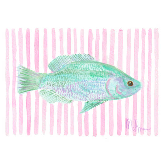 "little blue fish"
